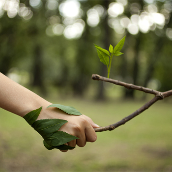 DOĞA & ÇEVRE TEMALI BİLİM MERKEZİ