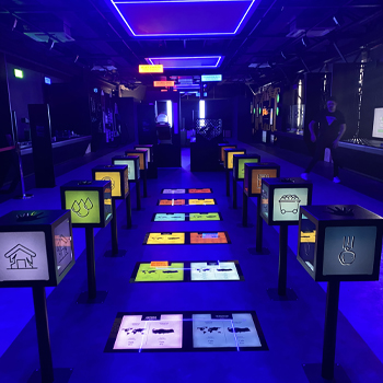 ÖZEL SERGİ ÜRETİMİ